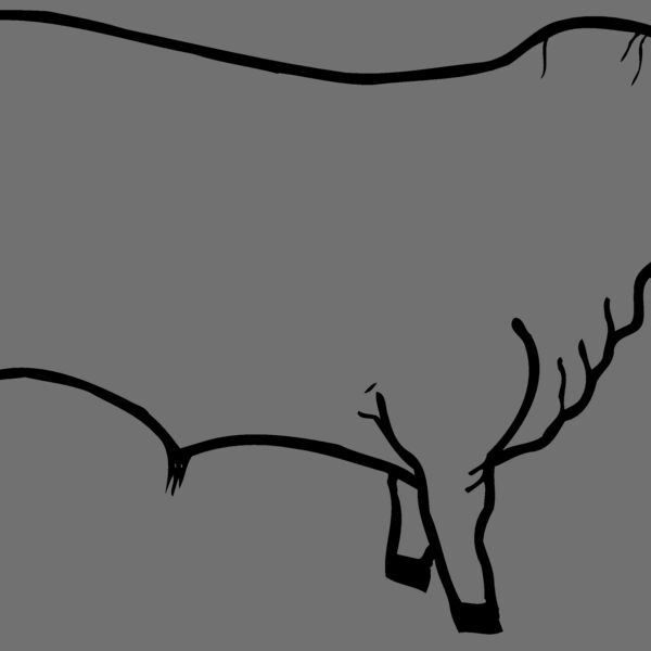 COW001 Thumbnail