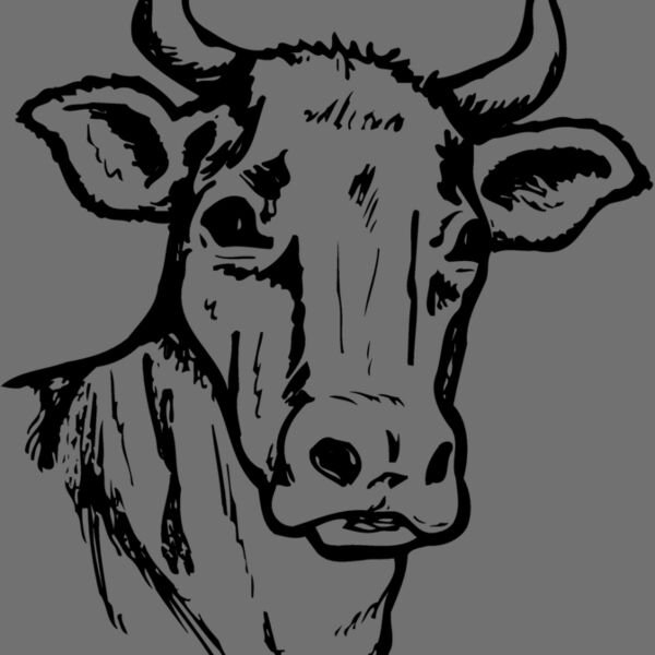 COW006 Thumbnail