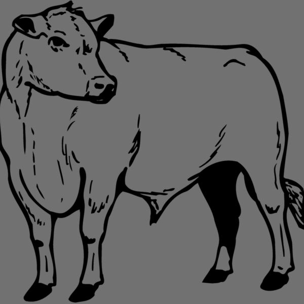 COW013 Thumbnail