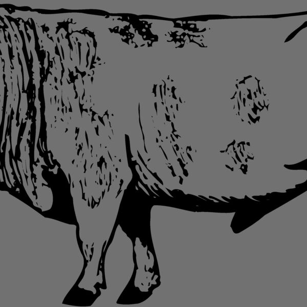 COW014 Thumbnail