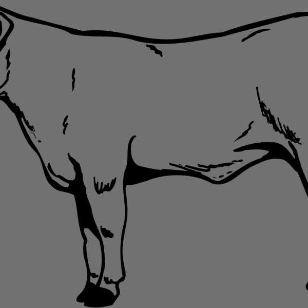 COW017 Thumbnail