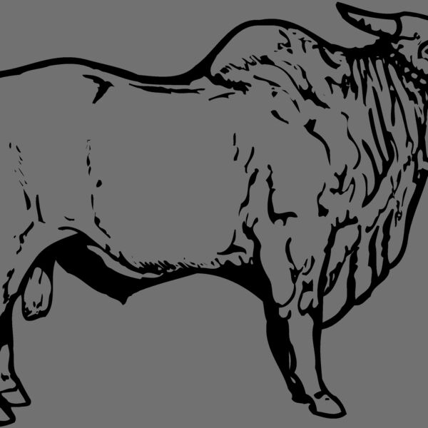 COW018 Thumbnail