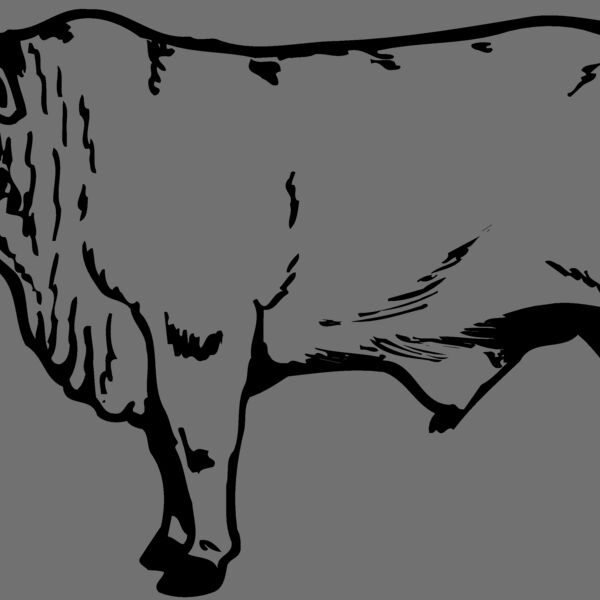 COW022 Thumbnail