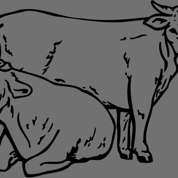 COW027 Thumbnail