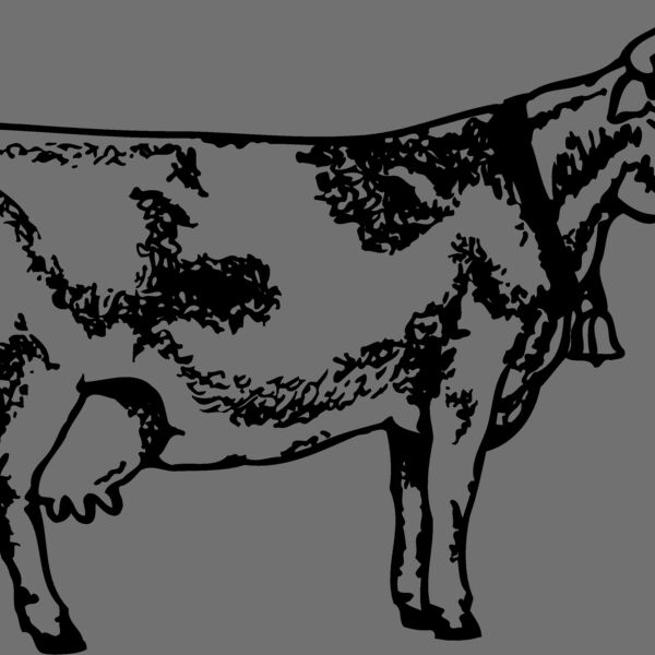 COW031 Thumbnail