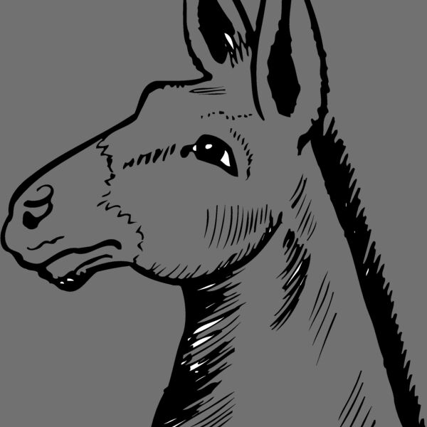 BURRO014 BURRO014 Thumbnail