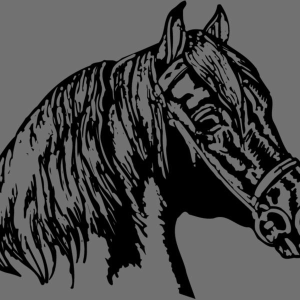 HORSE002 Thumbnail