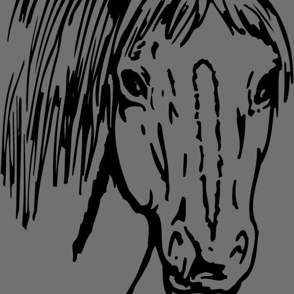 HORSE003 Thumbnail