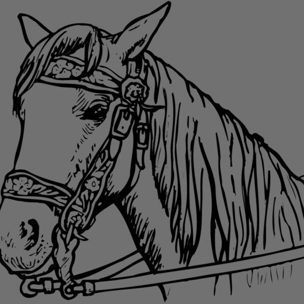 HORSE005 Thumbnail