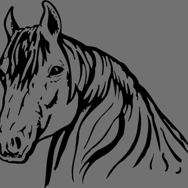 HORSE006 Thumbnail