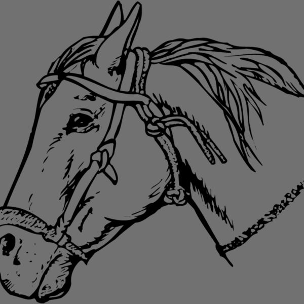HORSE007 Thumbnail