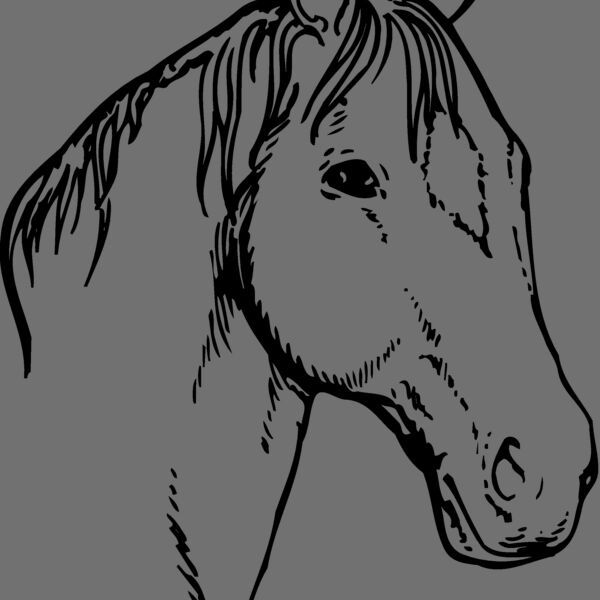 HORSE008 Thumbnail
