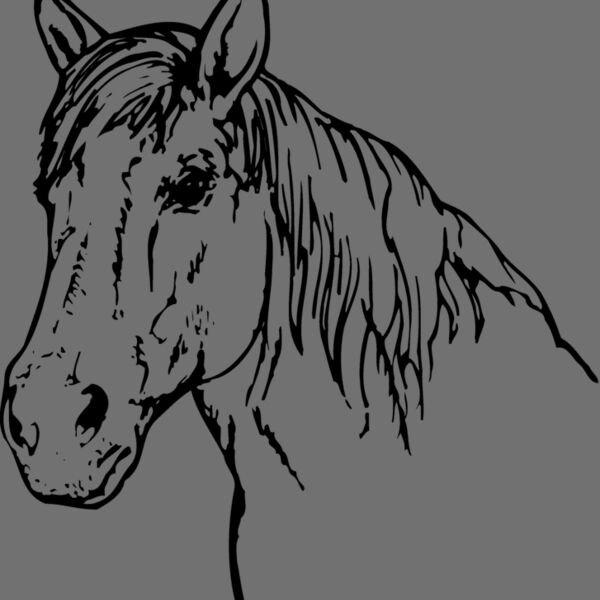HORSE009 Thumbnail
