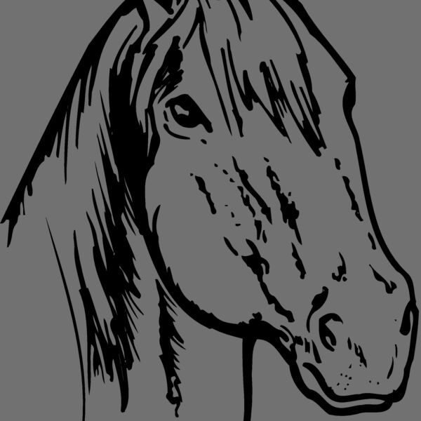 HORSE011 Thumbnail