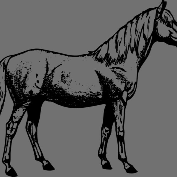 HORSE013 Thumbnail