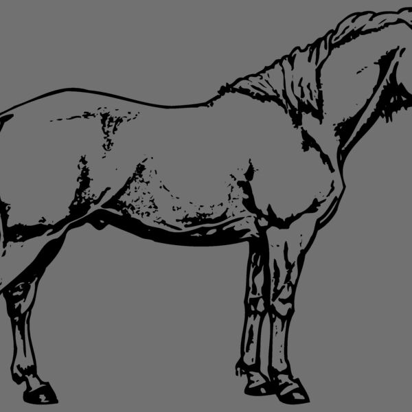 HORSE016 Thumbnail