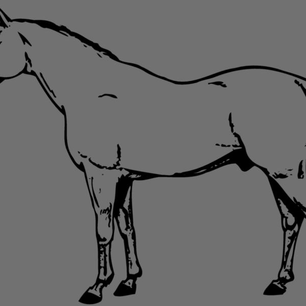 HORSE017 Thumbnail