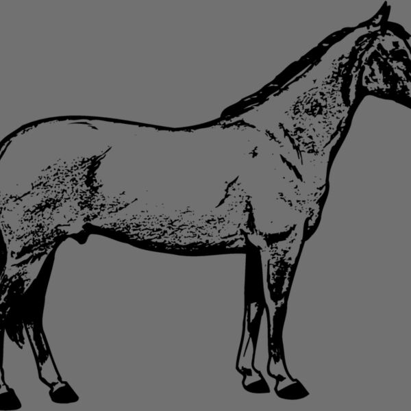 HORSE020 Thumbnail