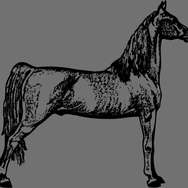 HORSE023 Thumbnail