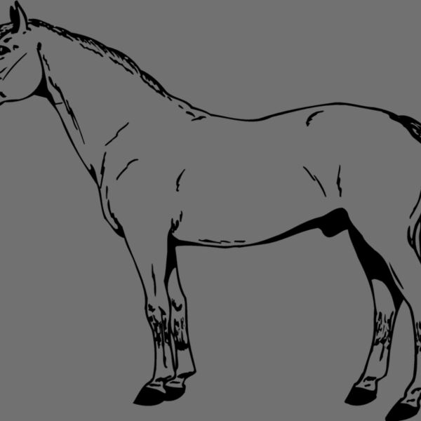 HORSE027 Thumbnail