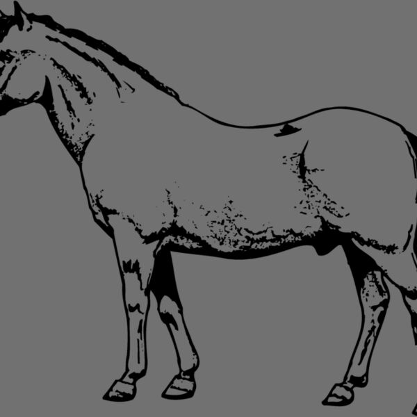 HORSE028 Thumbnail