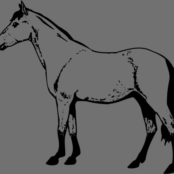 HORSE029 Thumbnail