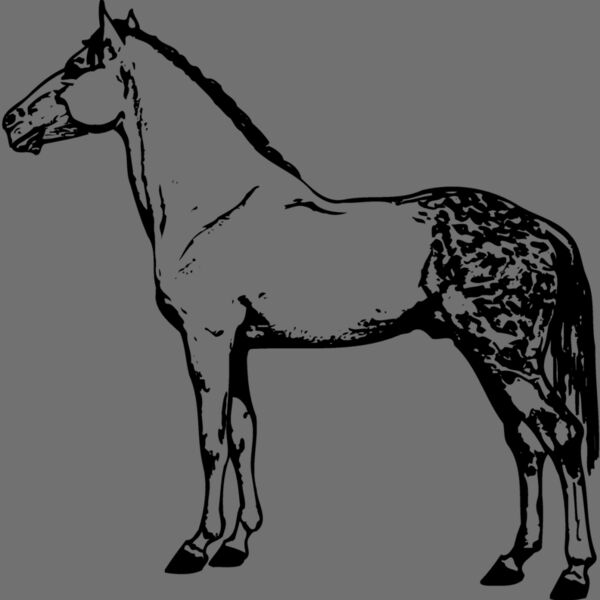 HORSE031 Thumbnail
