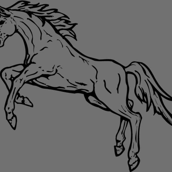 HORSE037 Thumbnail