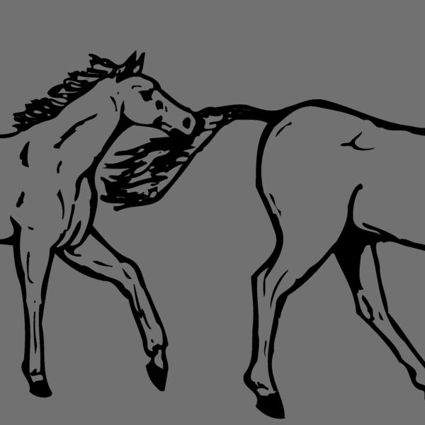 HORSE040 Thumbnail