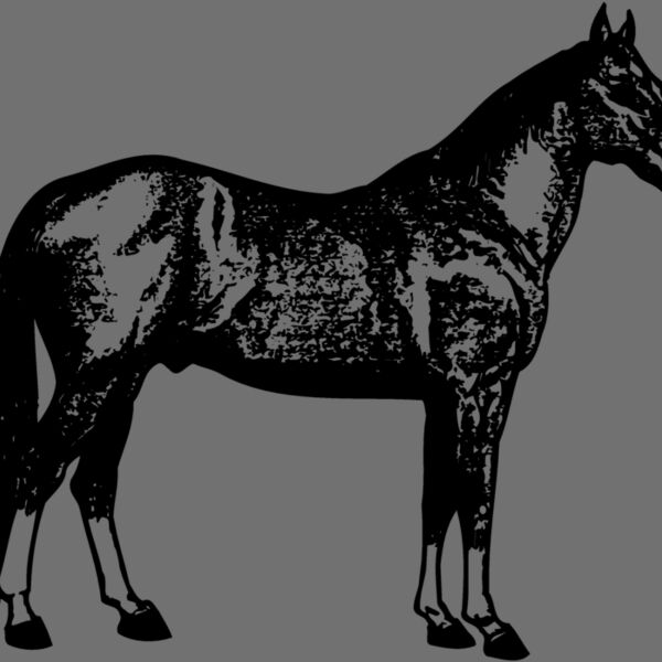 HORSE054 Thumbnail