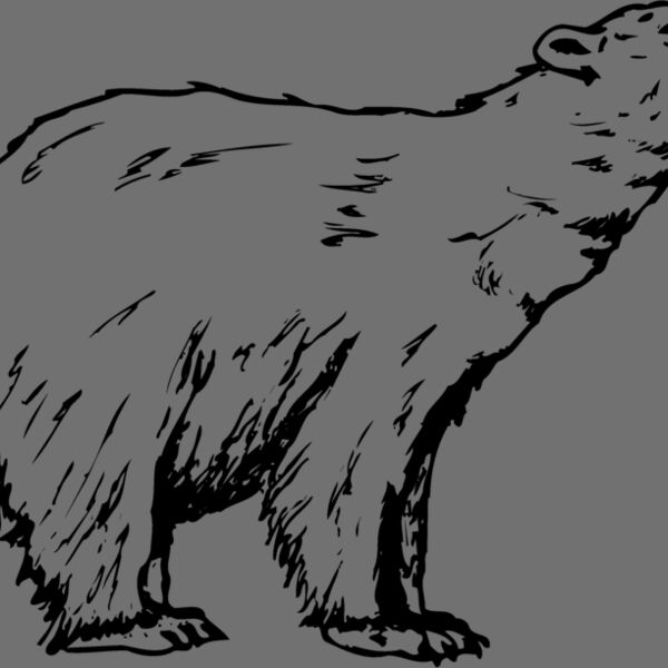 BEAR016 Thumbnail