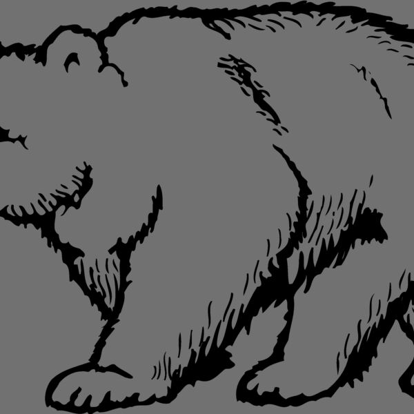 BEAR017 Thumbnail