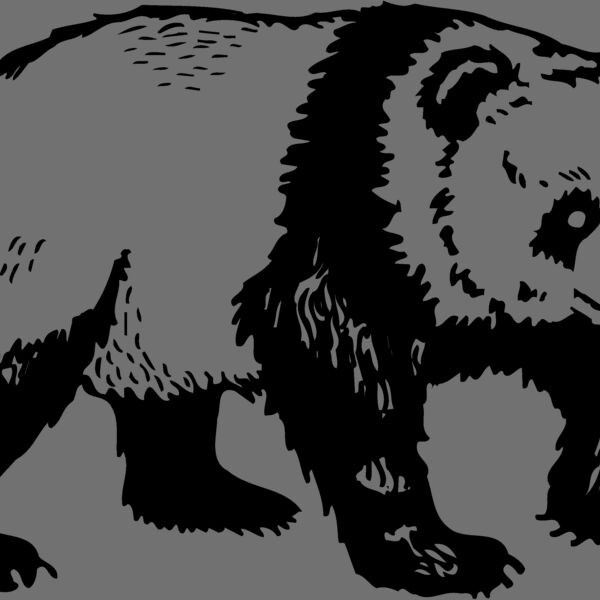 BEAR019 Thumbnail