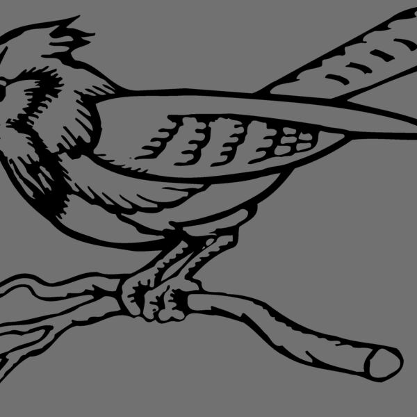 BIRD011 Thumbnail