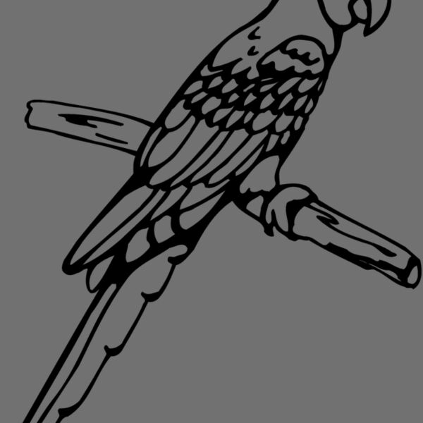 BIRD017 Thumbnail
