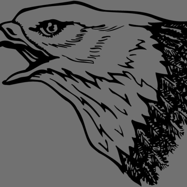 EAGLE013 Thumbnail