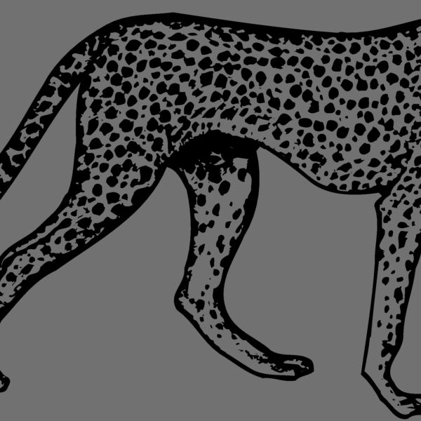 CHEETA02 Thumbnail