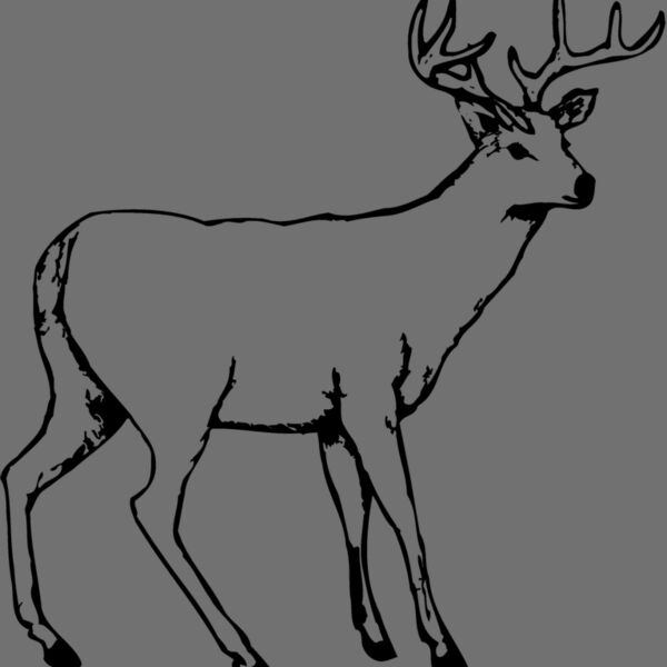 DEER002 Thumbnail