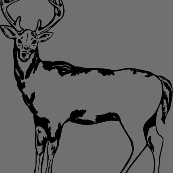 DEER005 Thumbnail