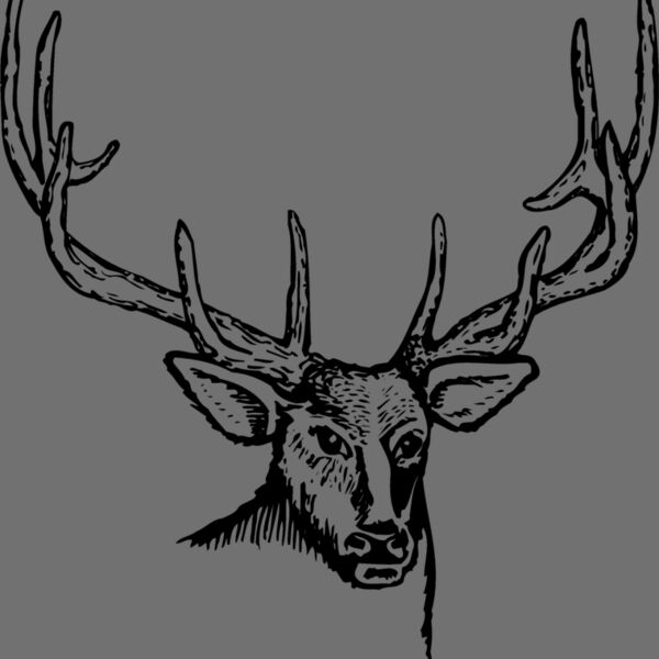 DEER007 Thumbnail
