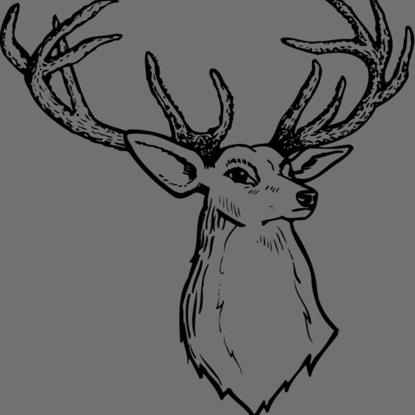 DEER008 Thumbnail