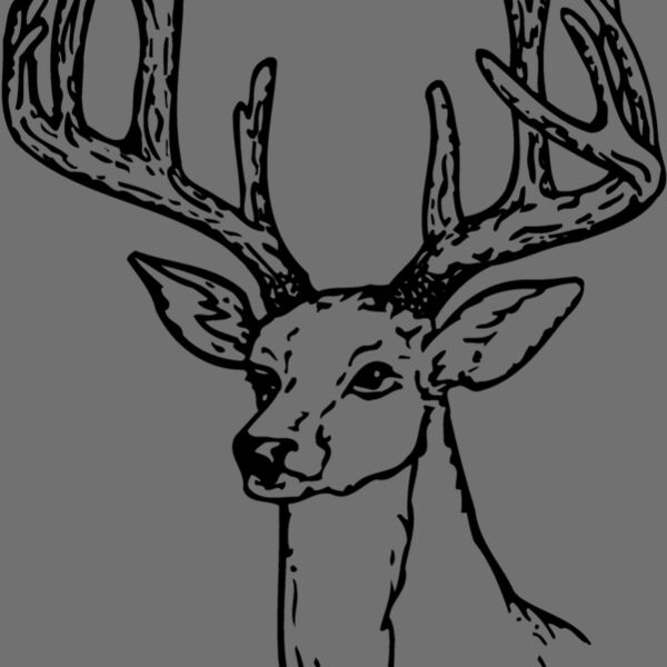 DEER009 Thumbnail