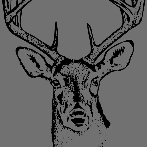 DEER010 Thumbnail
