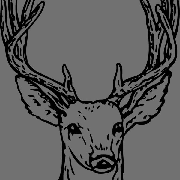 DEER011 Thumbnail
