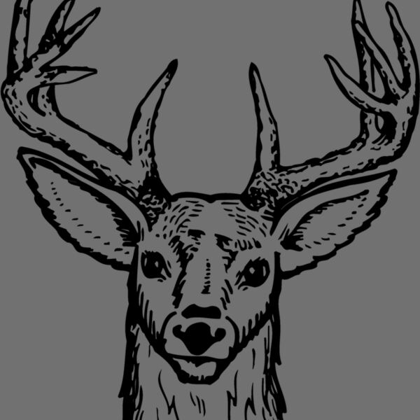 DEER012 Thumbnail