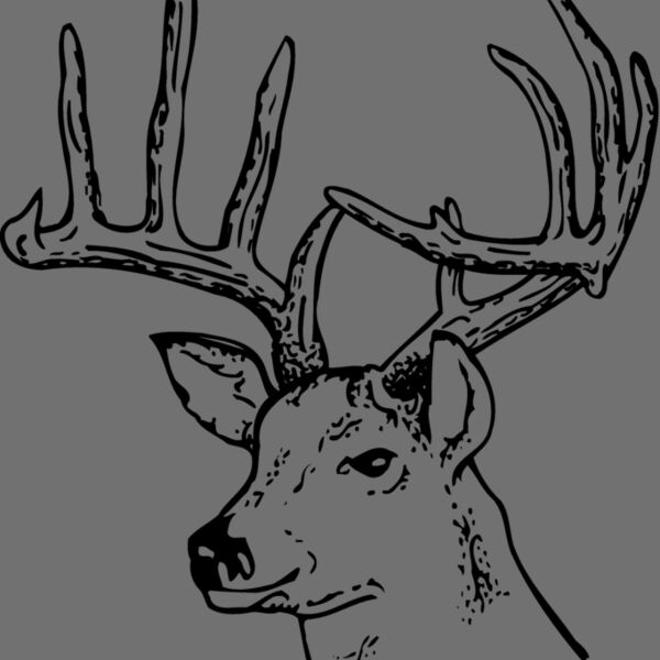 DEER014 Thumbnail