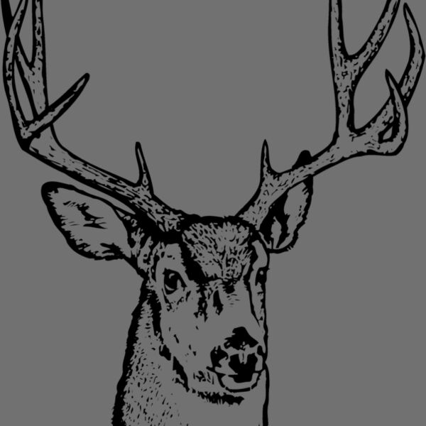 DEER016 Thumbnail