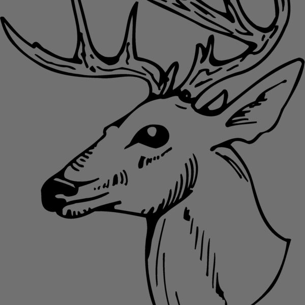 DEER018 Thumbnail