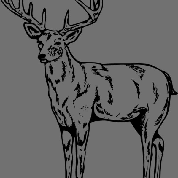 DEER021 Thumbnail