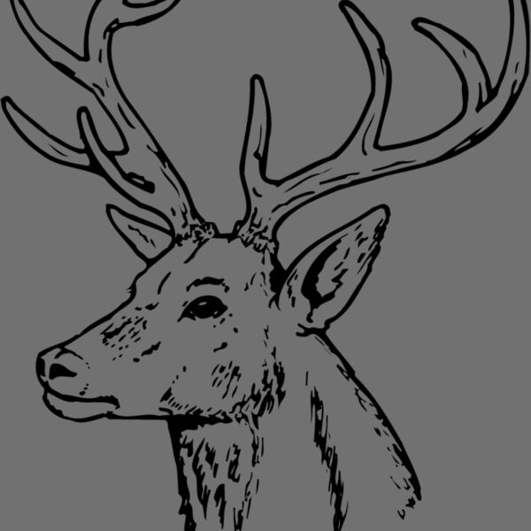 DEER022 Thumbnail